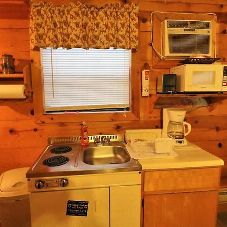Alpine Mountain Sweetheart Cabin Jacuzzi #8 Helen Bagian luar foto