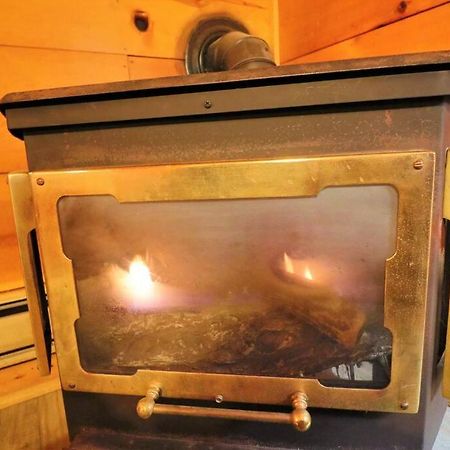 Alpine Mountain Sweetheart Cabin Jacuzzi #8 Helen Bagian luar foto